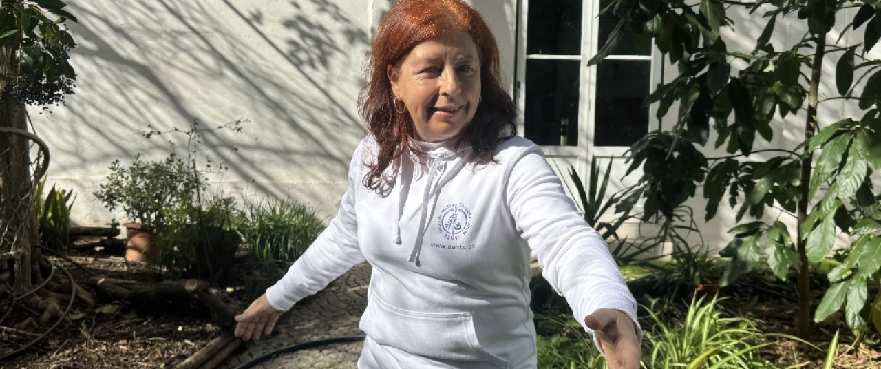 Os 15 Movimentos de Wudang